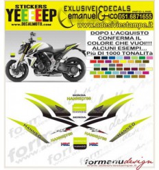 CB 1000 R TEAM TENKATE HANNSPREE